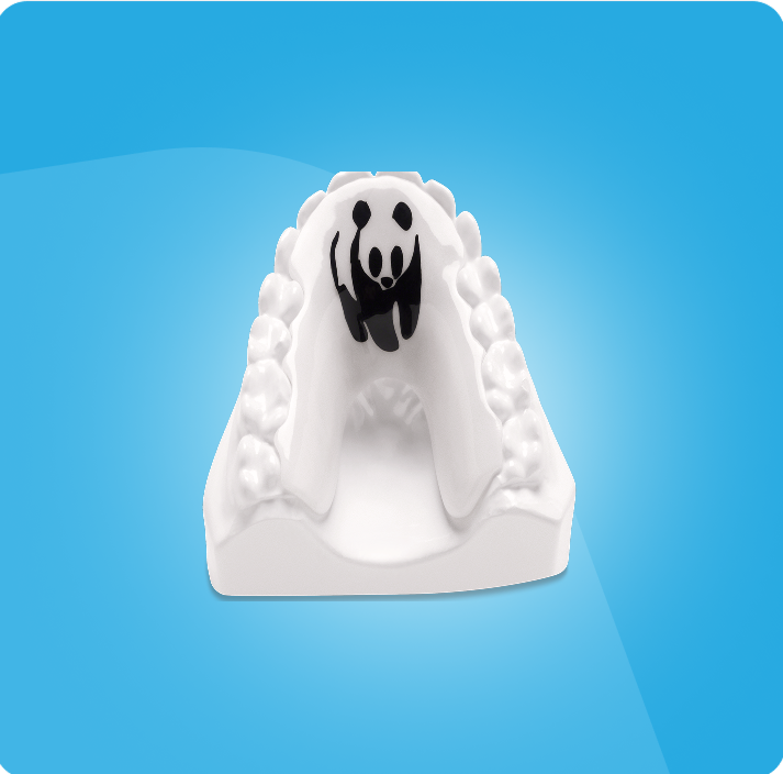 Orthotic-HS